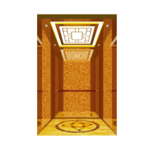 Made In China Superior Quality Professional Homes Passenger Elevator In China